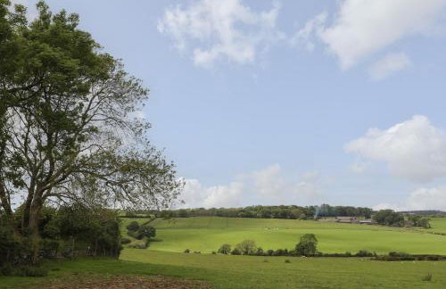 Cosy Cottage - Foto 24