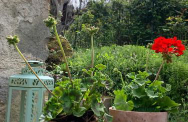 Vrijstaand vakantiehuis La Piccigliana - 6 personen - Foto 33