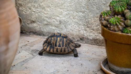 La Maison de Famille - Foto 5