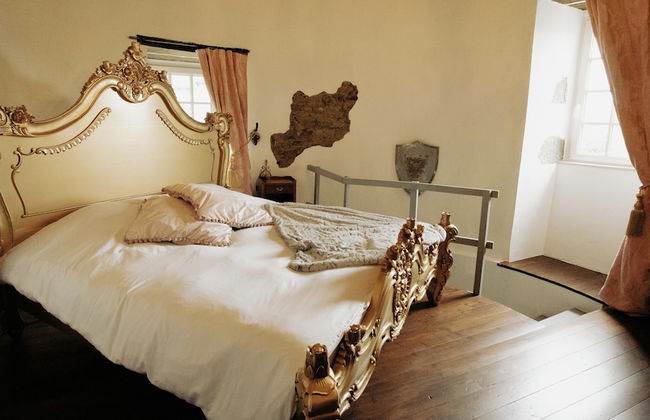 Château de la Preuille - Foto 2