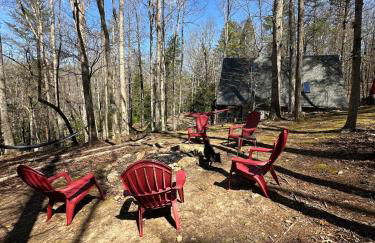 Bearly Behavin - Foto 67