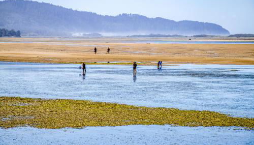 The Bears Den - Foto 2