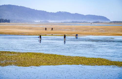 The Bears Den - Foto 2