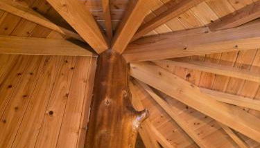 Adega Mendes - Photo 3