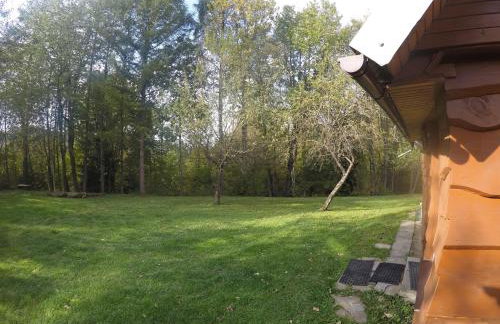 Domek PUSTELNIA do 5 osób - Foto 4