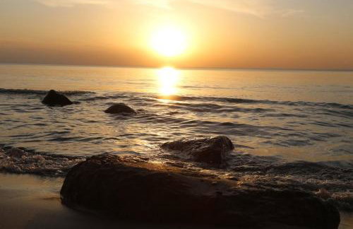 Słowińskie Widoki domek Natura, noclegi Smołdziński Las - Foto 41