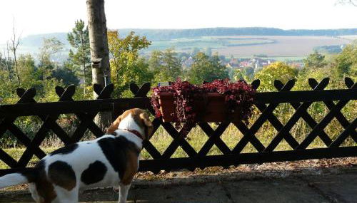 Europa-Feriendorf Husen - Foto 2