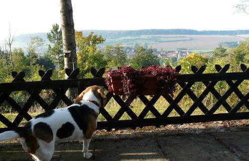 Europa-Feriendorf Husen - Foto 2