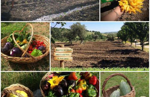 AGRI ART - Foto 23
