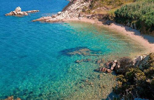 Sunny Bi-Pi Apartment - Photo 12