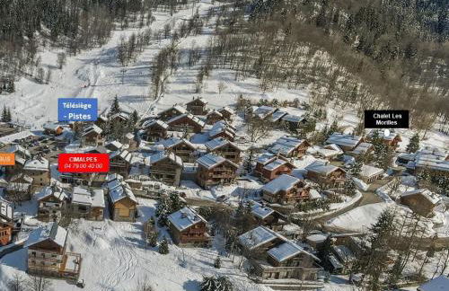 Chalet moderne avec jacuzzi et animaux admis, proche pistes Méribel - FR-1-566-56 - Foto 5