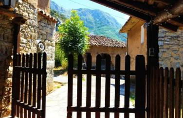 La Fontina de Tene - Foto 21