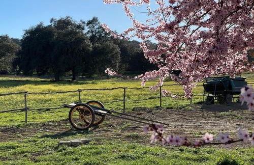 Cortijo Huerta Galindo - Foto 6