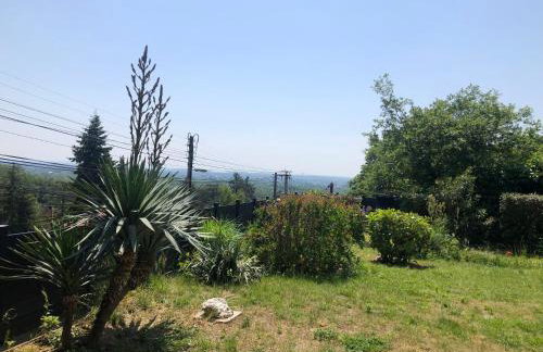 Le jardin suspendu - Foto 23