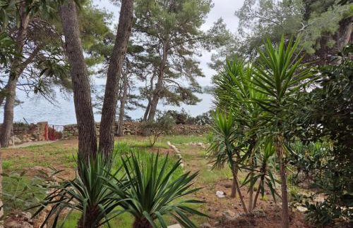 Apartment Zavala 8774b - Foto 9