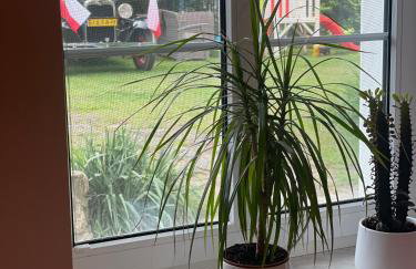 Apartament Hania - Foto 17