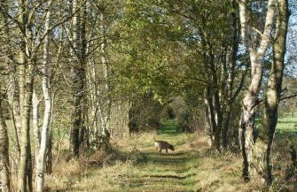 Schöner Winkel - Foto 34