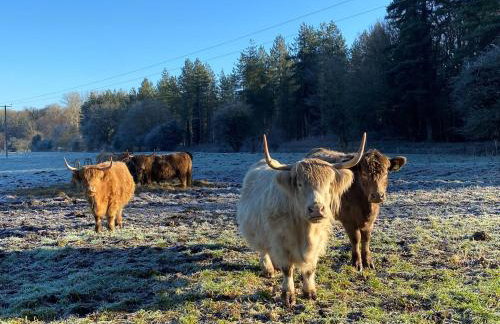 Lynford Holiday Cottages nestled in the heart of Thetford Forest - Foto 53