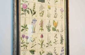 *Stunning* The Botanist Rest Ventnor IOW - Foto 9