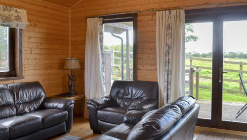 Dartmoor - Uk12537 - Foto 3