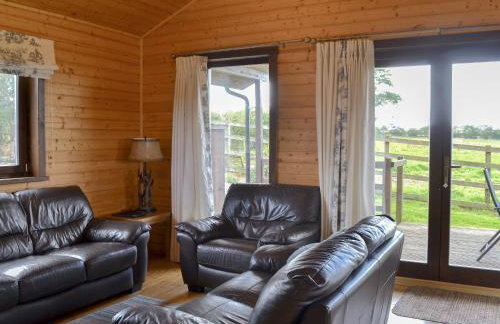 Dartmoor - Uk12537 - Foto 3