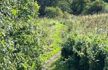 The Blue Cottage with luxurious Super King bed - Photo 45