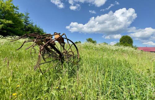 Agroturystyka Wilkowyja - Foto 28