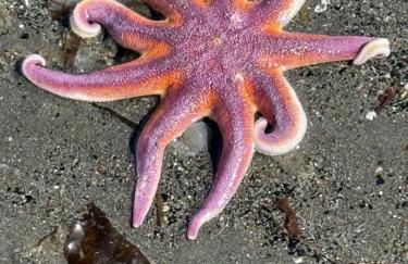 Apartment, walkout basement, Central Homer, Views! - Foto 28