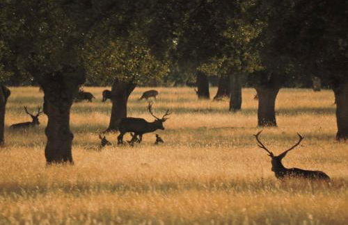 La Carpintería - Foto 24