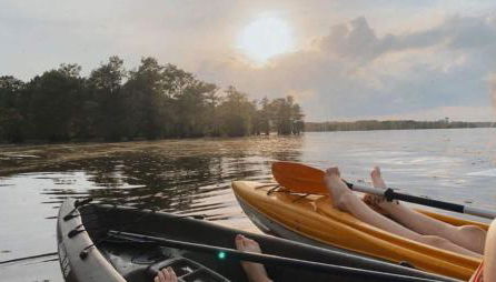 StargazerCaddo Lake Cabin with Kayaks - Foto 3