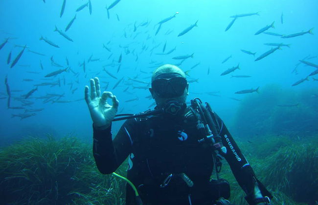 Bautismo de buceo en Puerto Addaya - Foto 7
