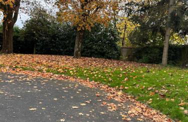 Champions Deluxe - Foto 18