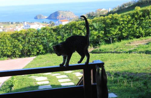 Quinta da Pavoa - Cottage House - Photo 38