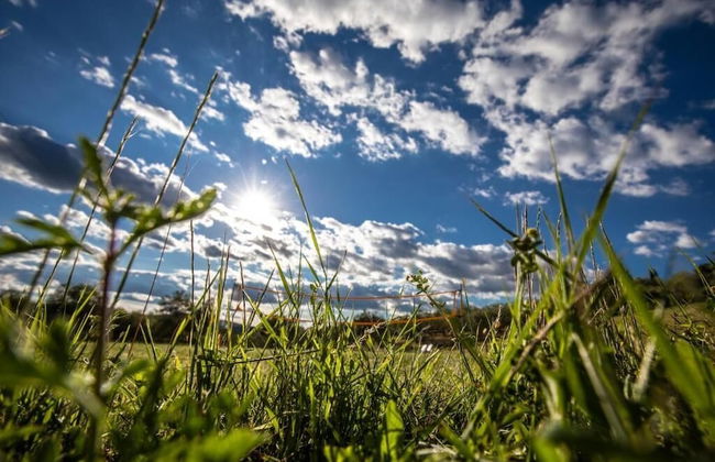 Agriturismo Il Sambuco - Foto 37