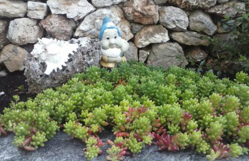 Apartments Borovina - Foto 30