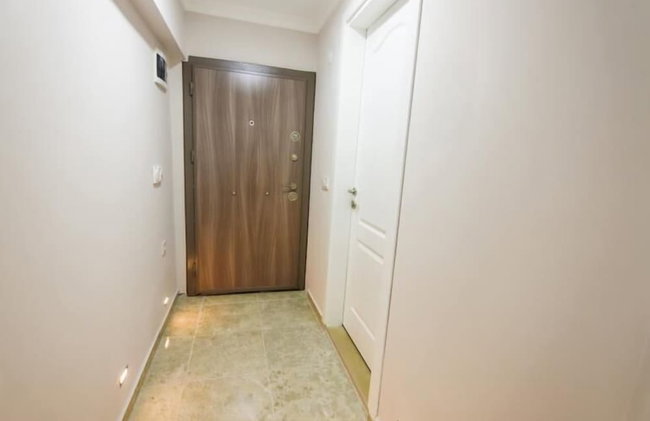 Little Gemin - Foto 17