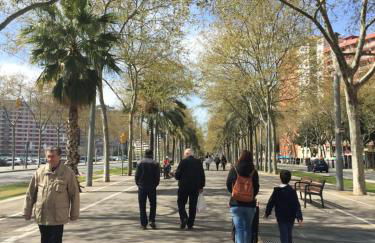 Charm Miró - Photo 31