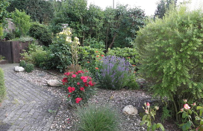 Holiday Apartment Haus Burgenblick Bullay - Foto 17