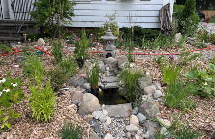 Welcome to our BoHo Tree House - Foto 16