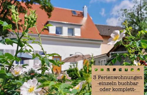 ALTE SCHULE WITTENBERG, 3 Ferienwohnungen für bis zu 12 Personen, an der Elbe, mit Garten - Foto 72