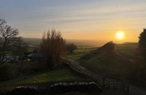 Eeyore's Place - Photo 31