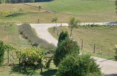 Apartment in Rakovica with Terrace, Air conditioning, Wifi (601-1) - Foto 6