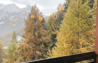 Pra Loup 1600 - Foto 16