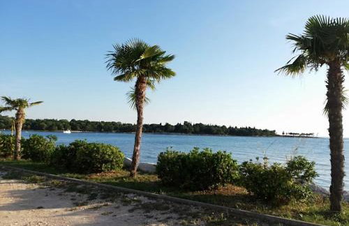 Apartments Oleander Lovrečica-residence with pool - Photo 62