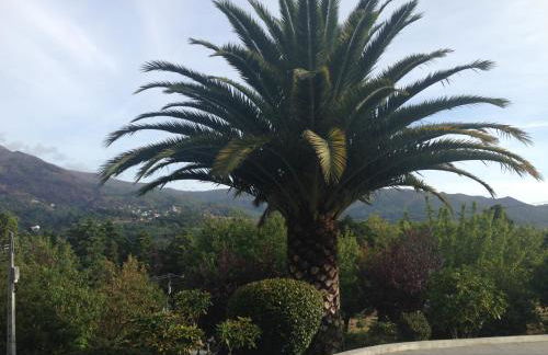 Casa Dos Cabecinhos - Foto 58