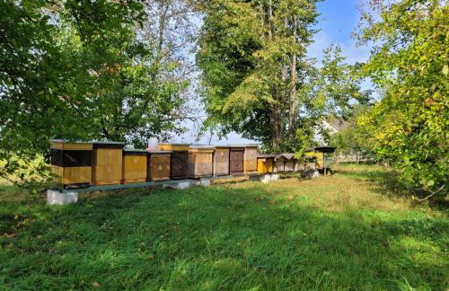 Agroturystyka Nowe Polaszki 10 - Foto 39