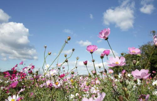 Lavish holiday home in Oberhambach - Foto 75