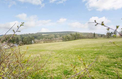 2 Bed in Duns 82759 - Photo 19