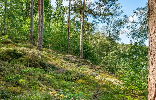 3 bedroom House in Olofström with garden - Photo 31