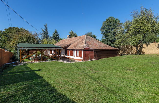 The Bird of Happiness-heaven for Dogs - Foto 38